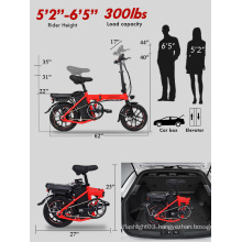 Electric Folding Bike With Reflector